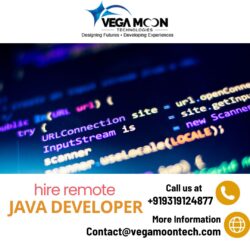 Power Your Applications: Hire Remote Java Developer from Vega Moon Technologies