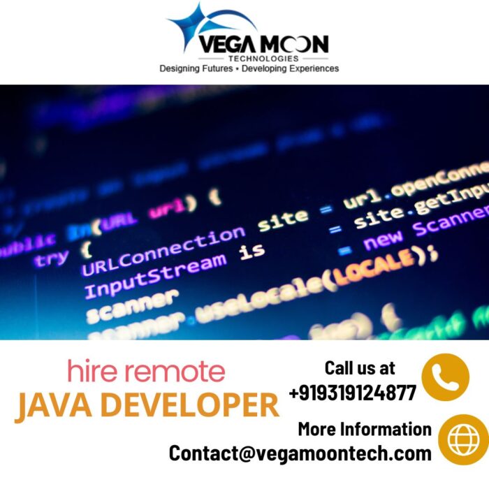 Power Your Applications: Hire Remote Java Developer from Vega Moon Technologies
