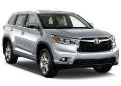 How to Choose the Right Rental Vehicle in Auckland