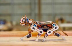Programmable Robot Dog | Petoi LLC