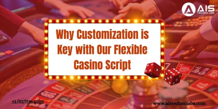 Why Customization is Key With Our Flexible Casino Script