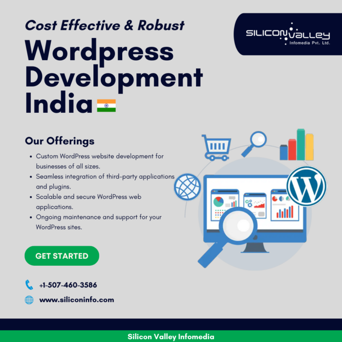 Hire WordPress Developer