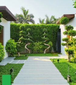 Enhance Your Exterior with Durable and Stylish Outdoor Wall Tiles
