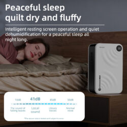 The Essential Role of an Efficient Dehumidifier in Home Comfort
