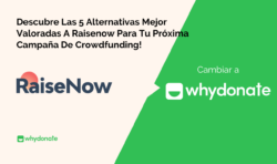 5 Alternativas Mejor Valoradas A Raisenow