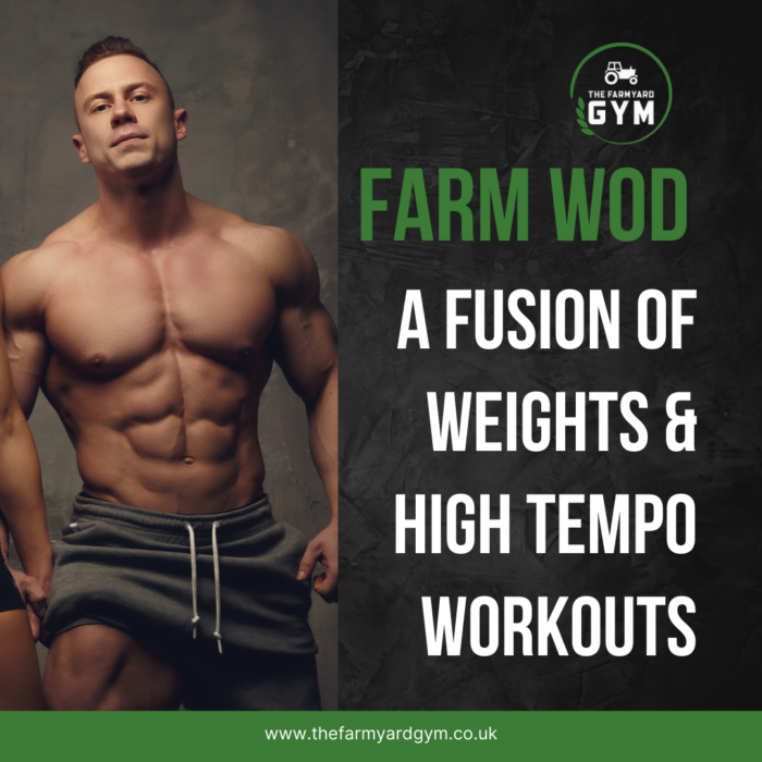Lincoln Farm-based Gym
