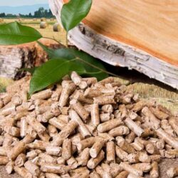 The Rise of Wood Pellets: A Sustainable Energy Solution