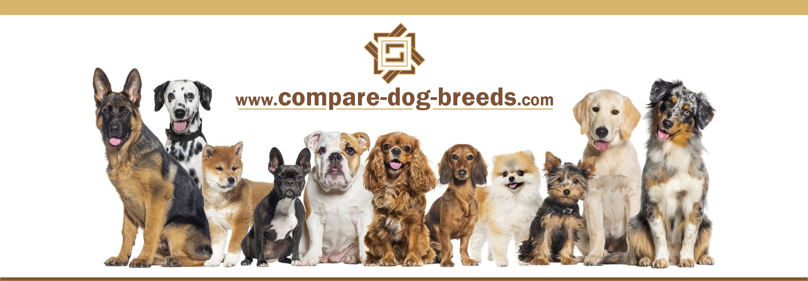 Compare Popular Dog Breeds in USA Social Social Social Social