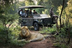 Reserve Devaliya Park Online Booking for Unique Wildlife Enclosure