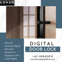 Secure Your Home with Digital Door Locks – Luxus Digital