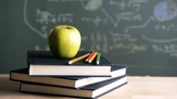 IAAP CPACC Exam Demystified: What You Need to Know