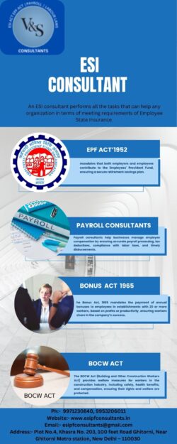 What Does an ESI Consultant Do?