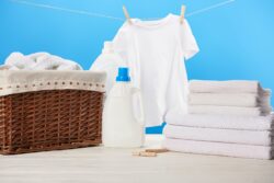 Professional Laundry Services in NRI Circle, Pratap Nagar