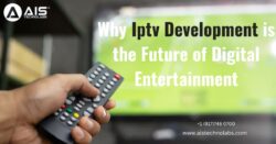 Why Iptv Development is the Future of Digital Entertainment