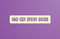 Secure Your Future with DumpsBoss’s ANS-C01 Study Guide