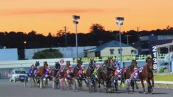 standardbred harness racing in brisbane