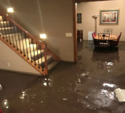 What to Expect from Water Damage Service in Toronto