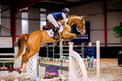 Elite Show Jumpers with Olympic and 5-Star Pedigrees at Ballypatrick Auctions