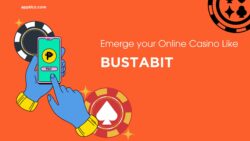 How can we implement measures to guarantee fairness and transparency in the gameplay of the Bust ...