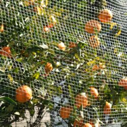 Effective Construction Debris Netting Solutions with Custom Net