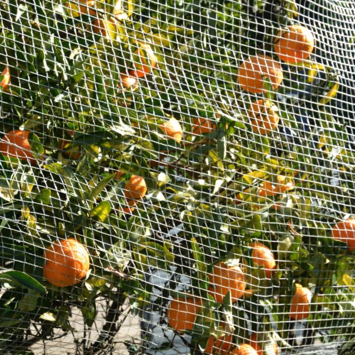 Effective Construction Debris Netting Solutions with Custom Net