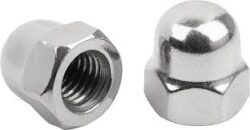 Hex Cap Nut Manufacturer, Supplier & Stockist in India – Akbarali Enterprises