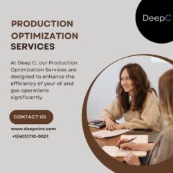 Production Optimization Services