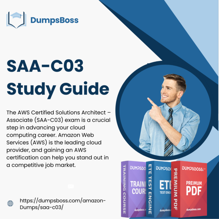 Pass the SAA-C03 Exam Without Stress Using Dumps PDF