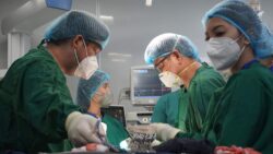 CPD Medical and Surgical Courses & Conferences | MedicsHub