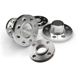 Titanium Flanges Manufacturer in India