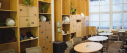 Discover the Best Plywood Brands in India Today