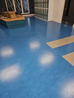 Marmoleum Floor Cleaning