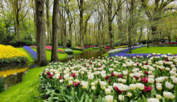 FOR DUTCH AND GERMAN CITIZENS – Egyption Government Visa and Immmigration Office | Egypt E ...