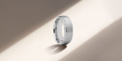 titanium-wedding-bands-for-men-and-women/products/prince-titanium-wedding-band-cubic-zirconia