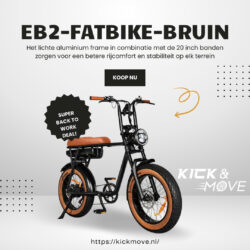 Goedkoopste Fatbike
