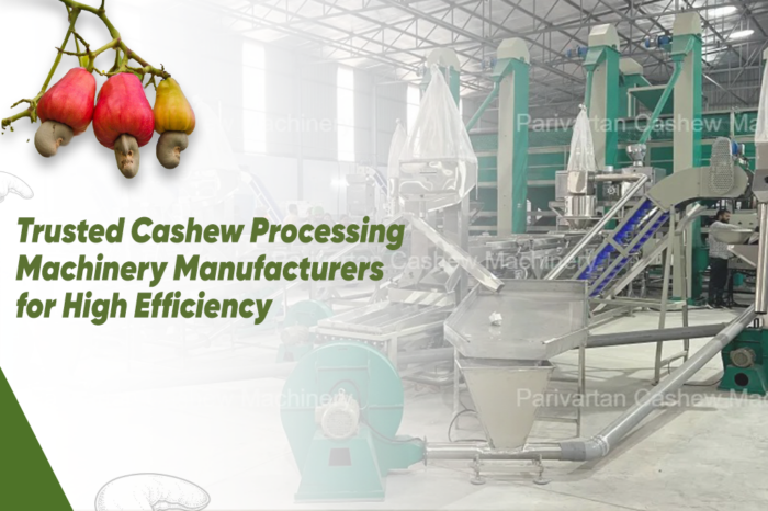 Trusted Cashew Processing Machinery Manufacturers for High Efficiency