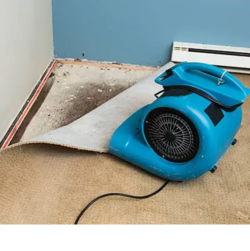 Top Ways to Protect Your Home from Mold Growth After a Flood