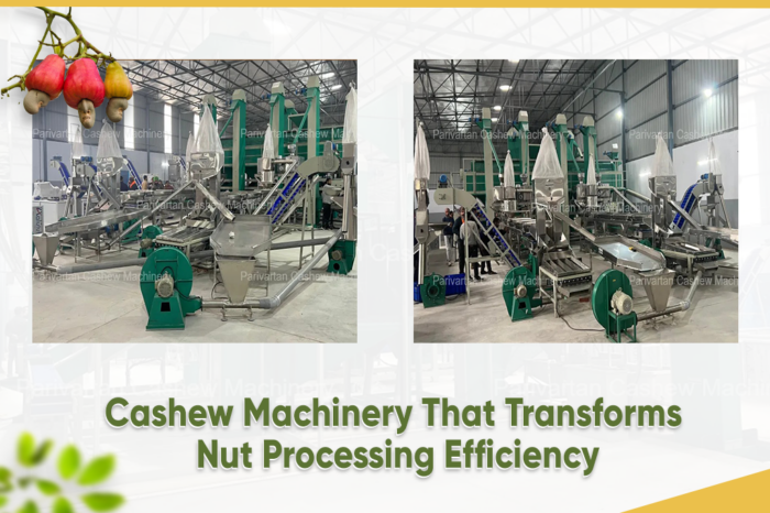 Cashew Machinery That Transforms Nut Processing Efficiency
