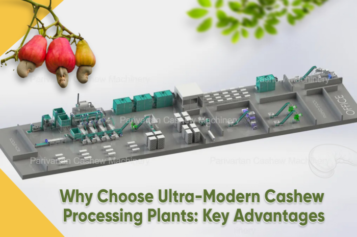 Why Choose Ultra-Modern Cashew Processing Plants: Key Advantages