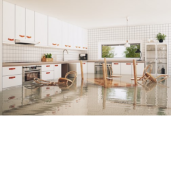 The Environmental Impact of Water Cleanup in Winnipeg