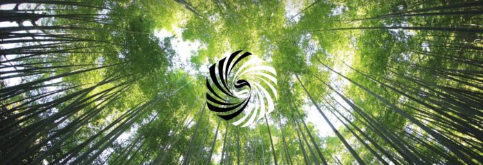 Acupuncture for migraines