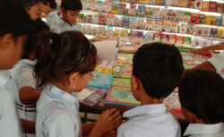 Factors to Think About When Selecting a Primary School for A Child