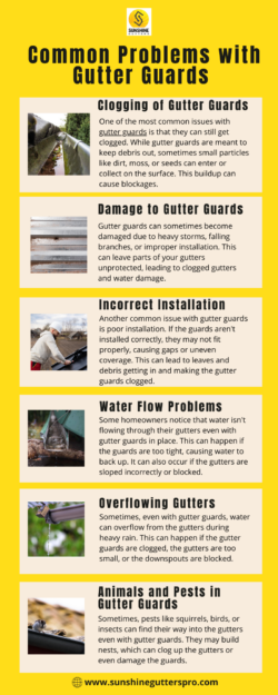 Common Problems with Gutter Guards