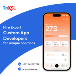 Best Custom Mobile Application Development Services