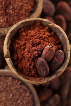 Elevate Your Chocolate Creations with Nusantara Cocoa
