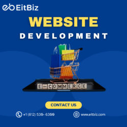eCommerce Website Developer