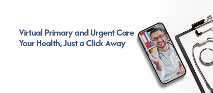 Virtual Primary Care & Behavioral Health Services