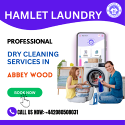 Professional Laundry, Ironing, and Dry Cleaning in Abbey Wood.