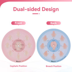 Midwife Fetal Position Tool – Cephalic & Breech, Large Size