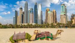 FOR UAE CITIZENS – INDIAN Indian Visa Immigration Office for eVisa Online | Indian eVisa & ...